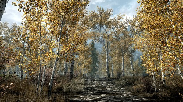 TESV 2020-06-19 15-38-55-82.jpg