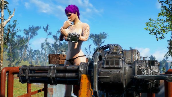 У минигана "твердый настрой" ;) FALLOUT-4 (Сборка 6.2)