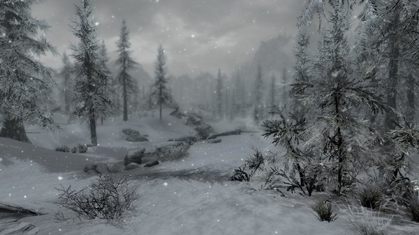 TESV 2020-06-17 15-33-29-48.jpg