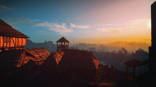The Witcher 3 Screenshot 2020.05.01 - 02.17.26.47.png