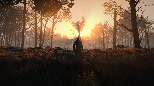 The Witcher 3 Screenshot 2020.05.09 - 01.18.21.72.png