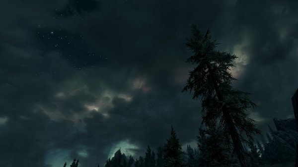 TESV 2020-06-10 16-43-13-00.jpg