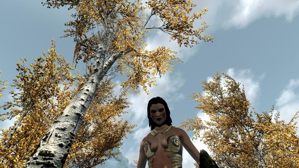 TESV 2020-06-19 16-00-16-02.jpg