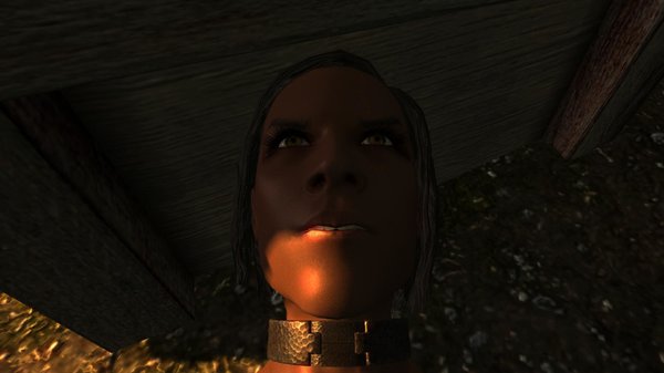 TESV 2020-06-10 16-07-43-68.jpg