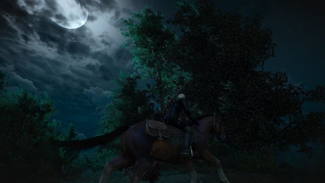 witcher3 2020-06-06 00-27-31-06.jpg