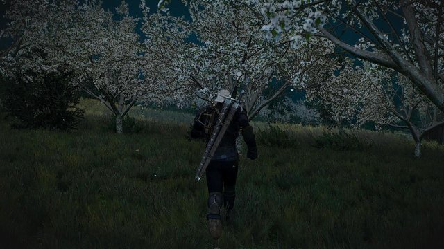 witcher3 2020-06-07 01-19-43-78.jpg