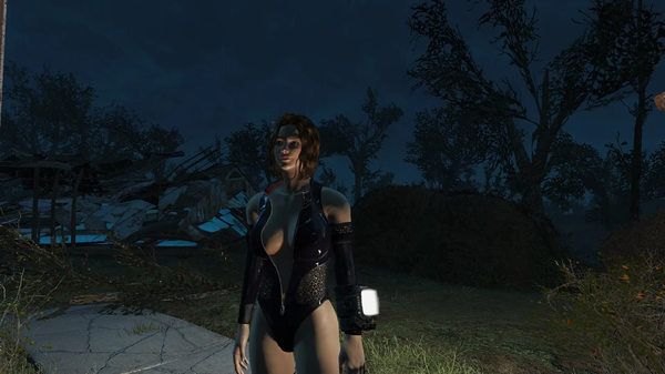 Fallout 4 2020.07.13 - 12.33.27.02.DVR.mp4_snapshot_00.02_[2020.07.13_12.57.39].png