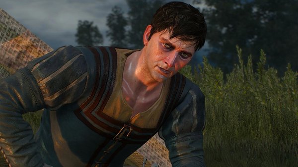 Путешественник.. ВЕДЬМАК III (сборка Торна)