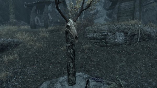 TESV 2020-07-06 16-55-04-05.jpg