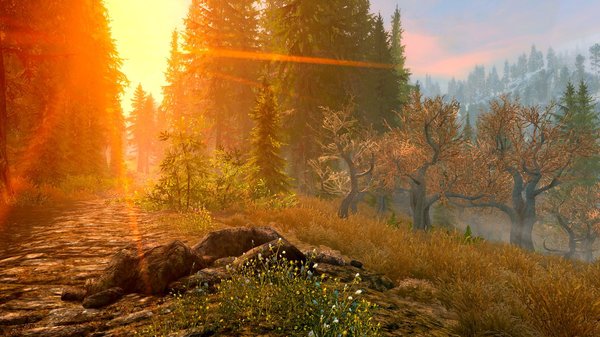 Вечерний пейзаж.. SkyrimSE (сборка 6.0)