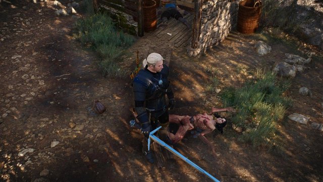 witcher3 2020-06-17 01-01-54-30.jpg