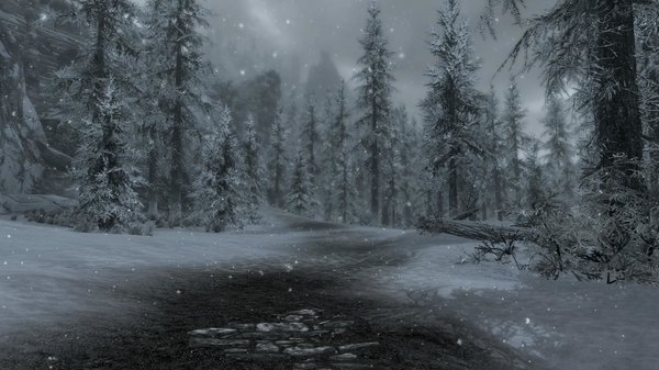 TESV 2020-08-05 16-17-40-70.jpg