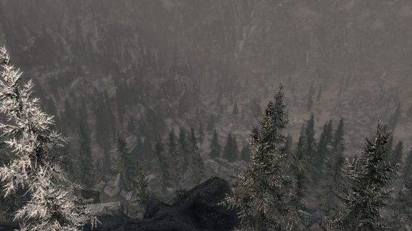 TESV 2020-08-05 15-17-48-05.jpg