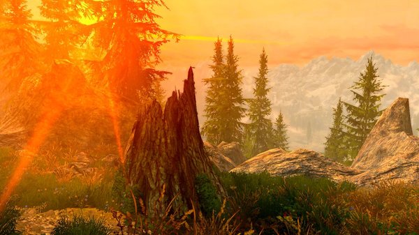 "Какой прекрасный день, какой прекрасный пень!" (с)