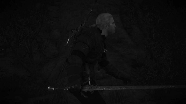 witcher3 2020-06-21 00-49-06-16.jpg