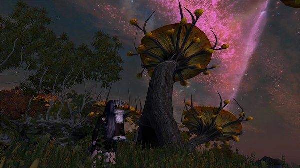 Вечерний пейзаж в Мании. OBLIVION (Сборка 4.0)