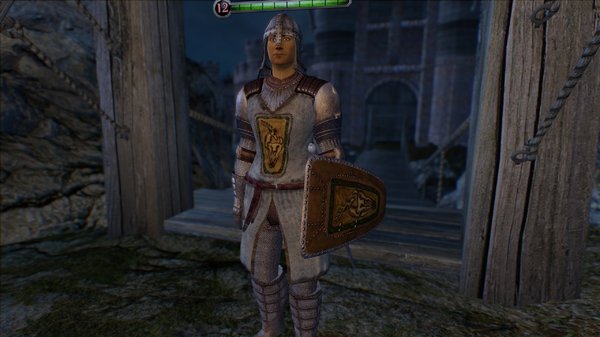 Этот бравильский стражник имеет 12 уровень...