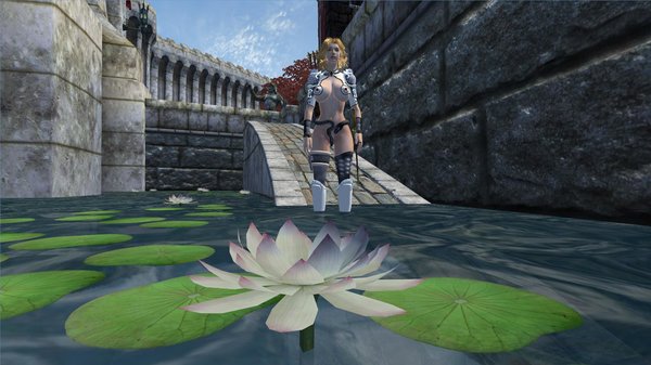 В игре много сексуальной одежды..