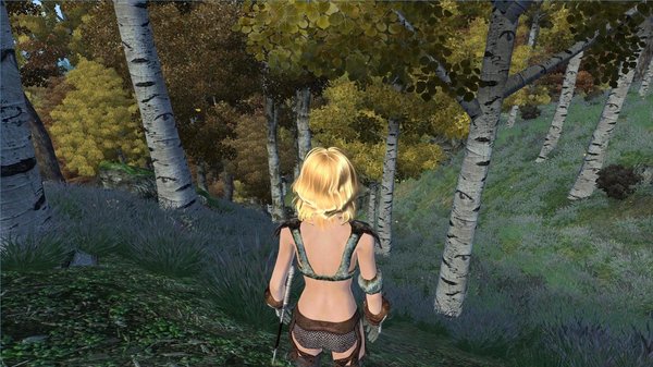 Берёзовая роща.. OBLIVION (Сборка 4.0)