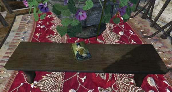 Книга на лавке. OBLIVION (Сборка 4.0)