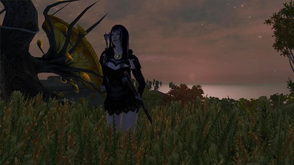 Сумерки в Мании.. OBLIVION (Сборка 4.0)