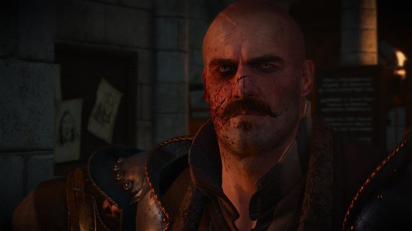 Ведьмак III (сборка Торна)