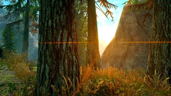 Солнца луч ;) SkyrimSE (сборка 6.0)