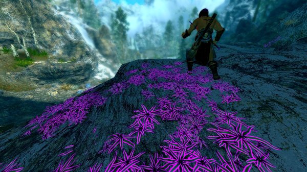 Цветуёчки )) SkyrimSE (сборка 6.0)