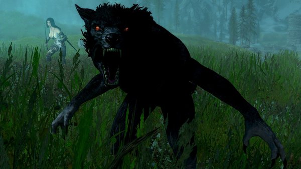 Оборотень защищает Нору.. SkyrimSE (сборка 6.0)