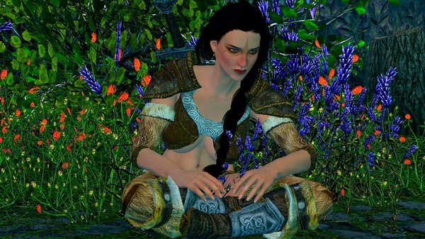 РИЯ из Соратников.. SkyrimSE (сборка 6.0)