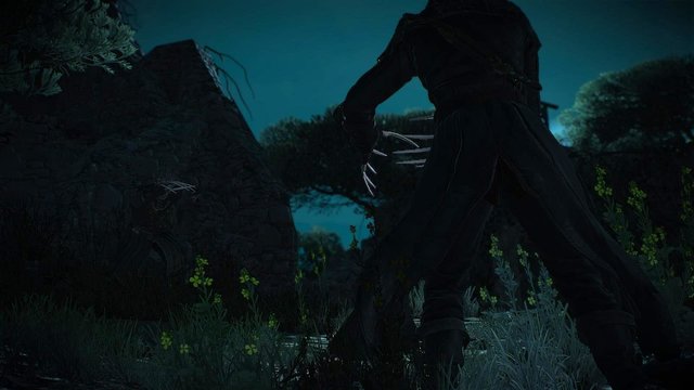 witcher3 2020-06-21 21-19-52-75.jpg