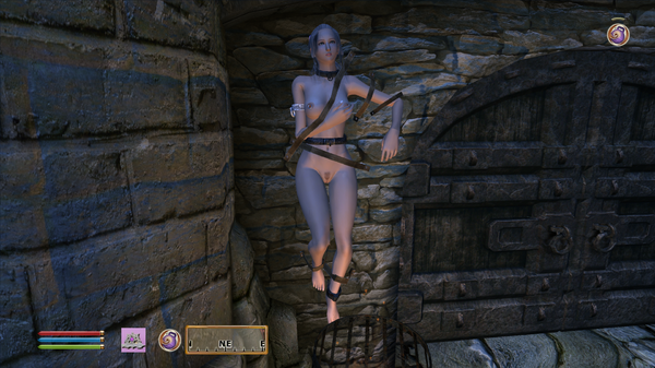 Elder Scrolls IV  Oblivion Screenshot 2020.10.03 - 01.51.19.20.png