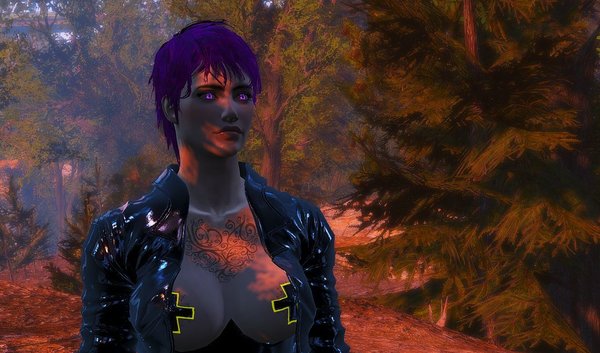 Fallout-4 (Сборка 6.4)