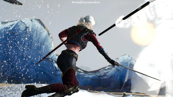 ЦИРИ в бою.. Ведьмак III (сборка Торна)