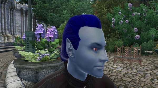 Темный эльф. OBLIVION (Сборка 4.0)