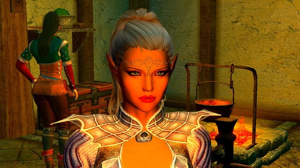 Эльфис дома.. SkyrimSE (сборка 6.0)