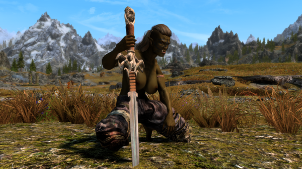 Skyrim Special Edition 11.11.2020 17_50_50