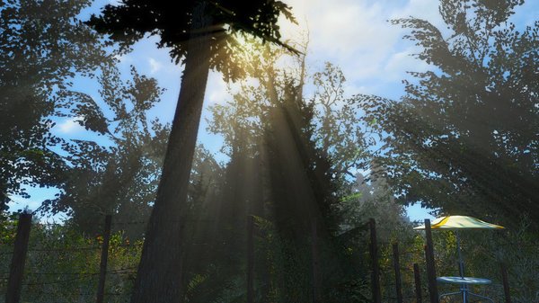 Пейзаж.. Fallout-4 (Сборка 6.4)