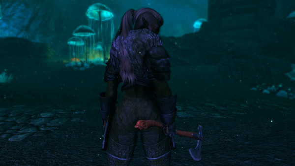 Skyrim Special Edition 11.11.2020 14_27_22.png