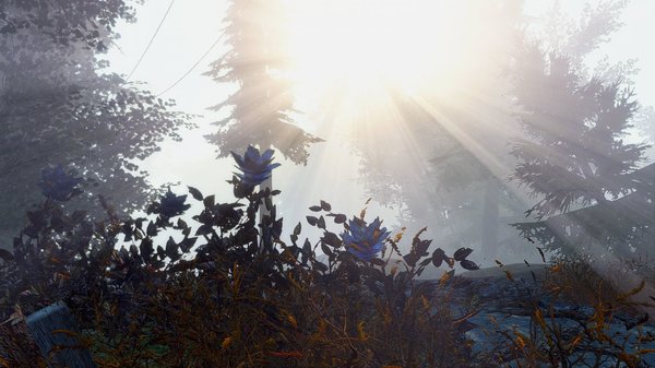 ПЕЙЗАЖ... Fallout-4 (Сборка 6.4)