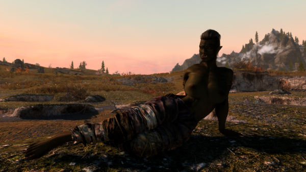 Skyrim Special Edition 11.11.2020 18_00_18.png