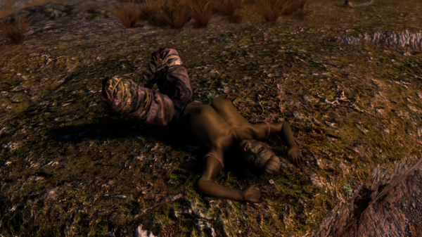 Skyrim Special Edition 11.11.2020 18_00_48.png