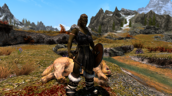 Skyrim Special Edition 11.11.2020 17_41_22.png