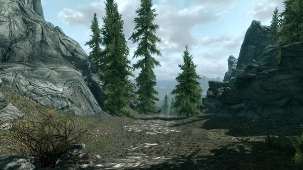 TESV 2020-12-30 16-48-40-50.jpg