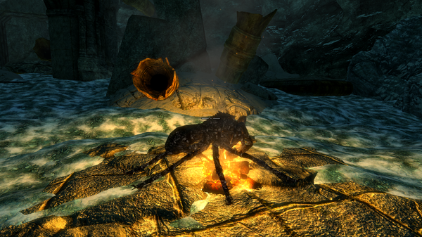 жареный паучок .png