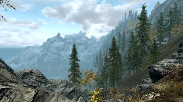 TESV 2020-12-05 17-06-49-50.jpg