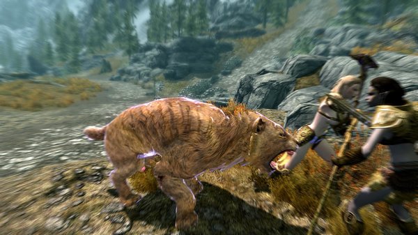 TESV 2020-12-30 16-52-33-73.jpg