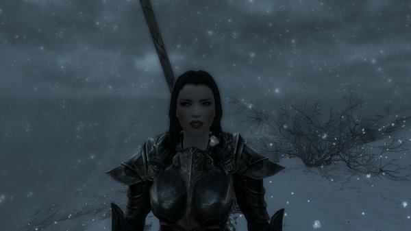 TESV 2020-12-06 17-26-47-85.jpg