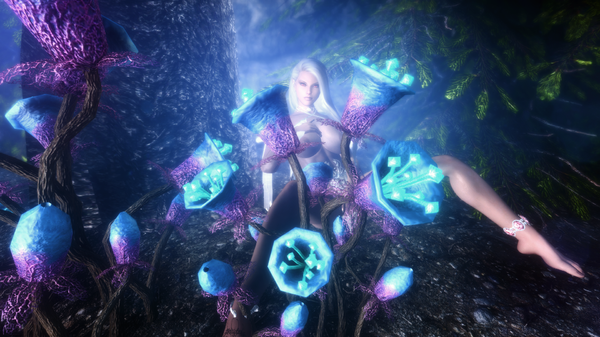 The Elder Scrolls V  Skyrim Special Edition Screenshot 2020.11.27 - 03.52.17.46.png