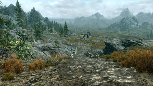 TESV 2020-12-30 16-51-15-27.jpg